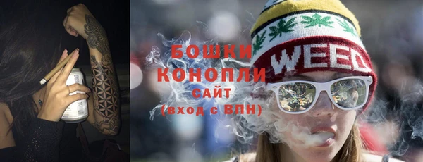 молекула духа Пестово