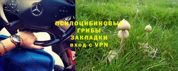 apvp Алексеевка