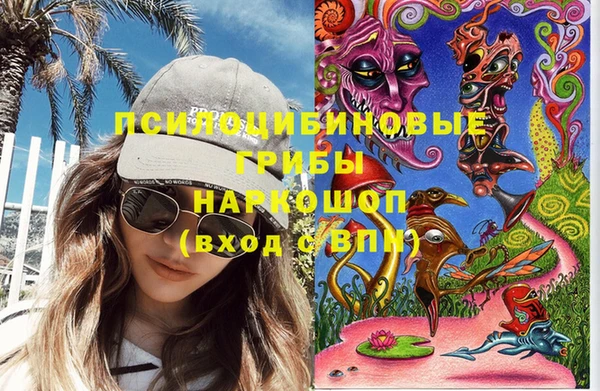 СК Алексин