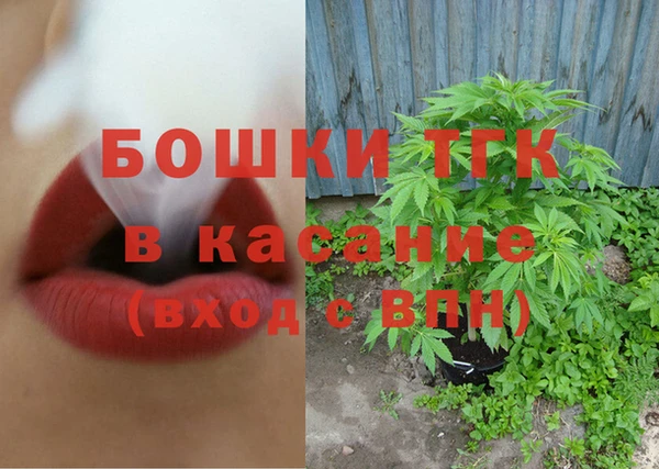 СК Алексин