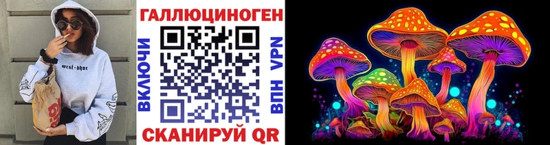 Псилоцибиновые грибы Psilocybine cubensis  Кинель 