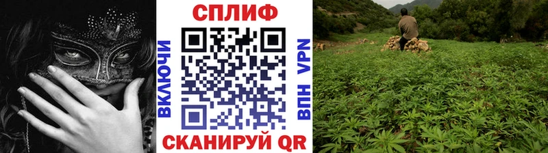 Канабис SATIVA & INDICA Кинель